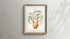 Vintage Wall Art - Velodona Octopus II by Scientific Illustration
